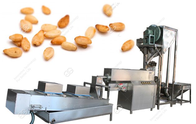 automatic sesame seeds washing and drying machine