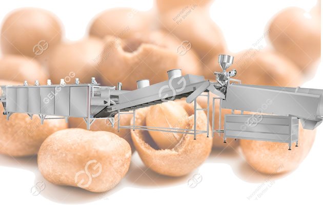 coated peanut production line factory price