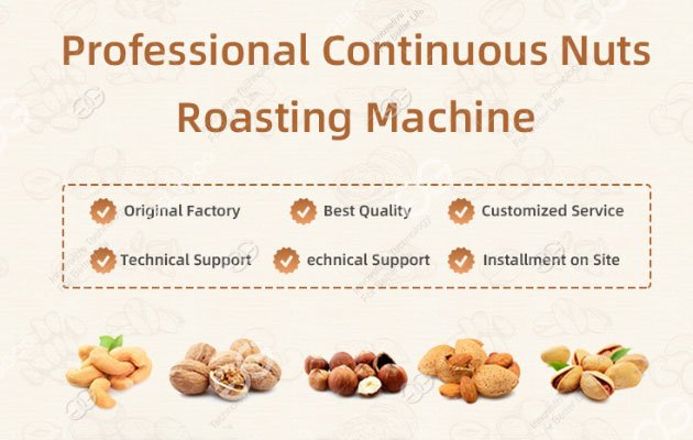 automatic peanut roasting and coating processing line application